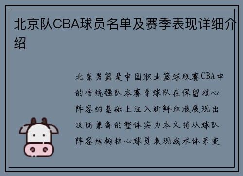 北京队CBA球员名单及赛季表现详细介绍